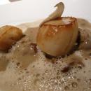 Scallops with mushrooms